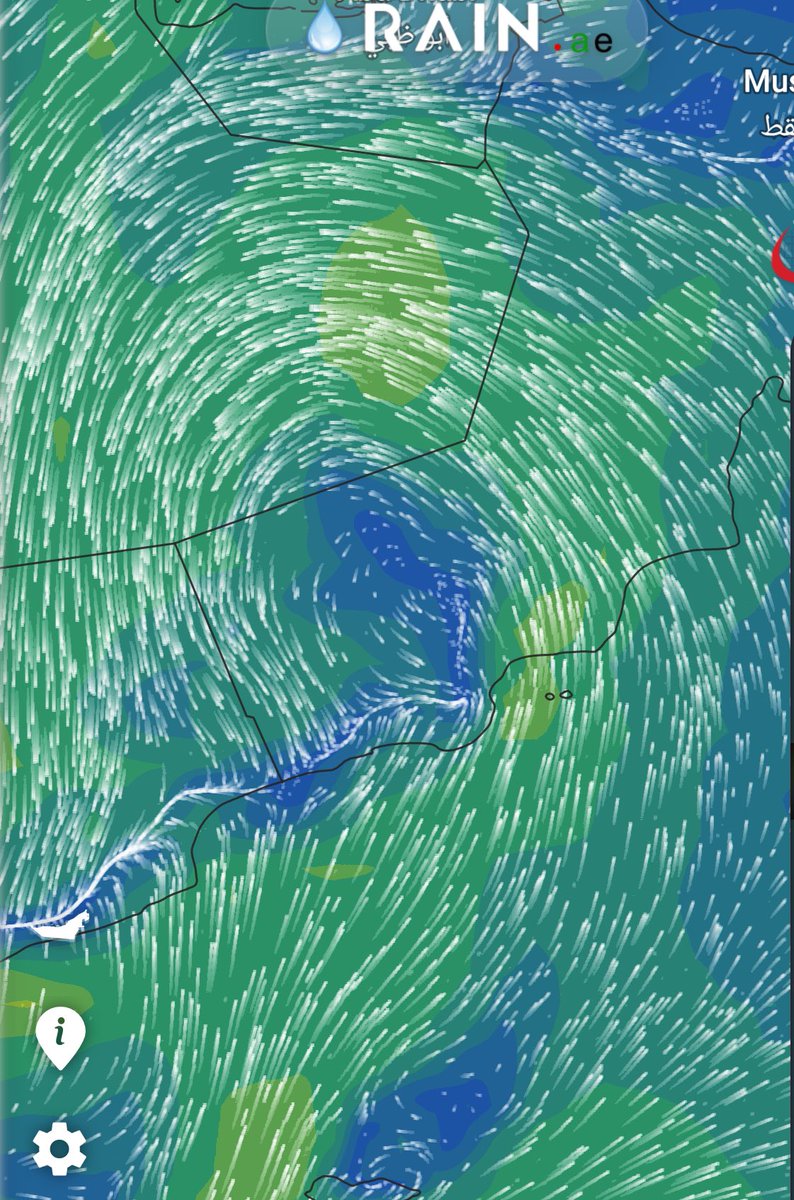 مزن السواري tweet media