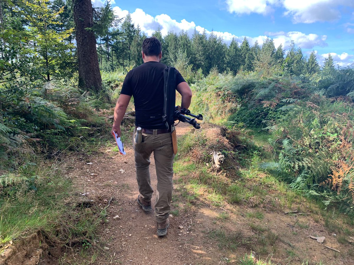 Wood for the Trees tweet media