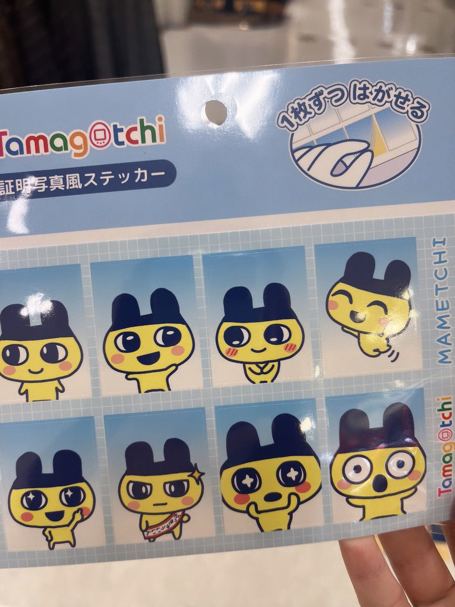 Tama_ll11's tweet photo. ちょっと可愛すぎて話にならない https://t.co/smhmR7dAvx