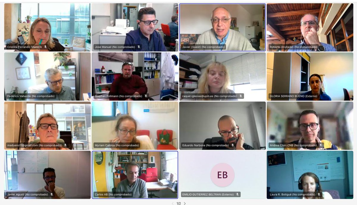 We had yesterday another very fruitful on line meeting to boost synergies within the network and plan new events to enable us to get further in our research. Evolution of plant signaling in development and stress rocks!