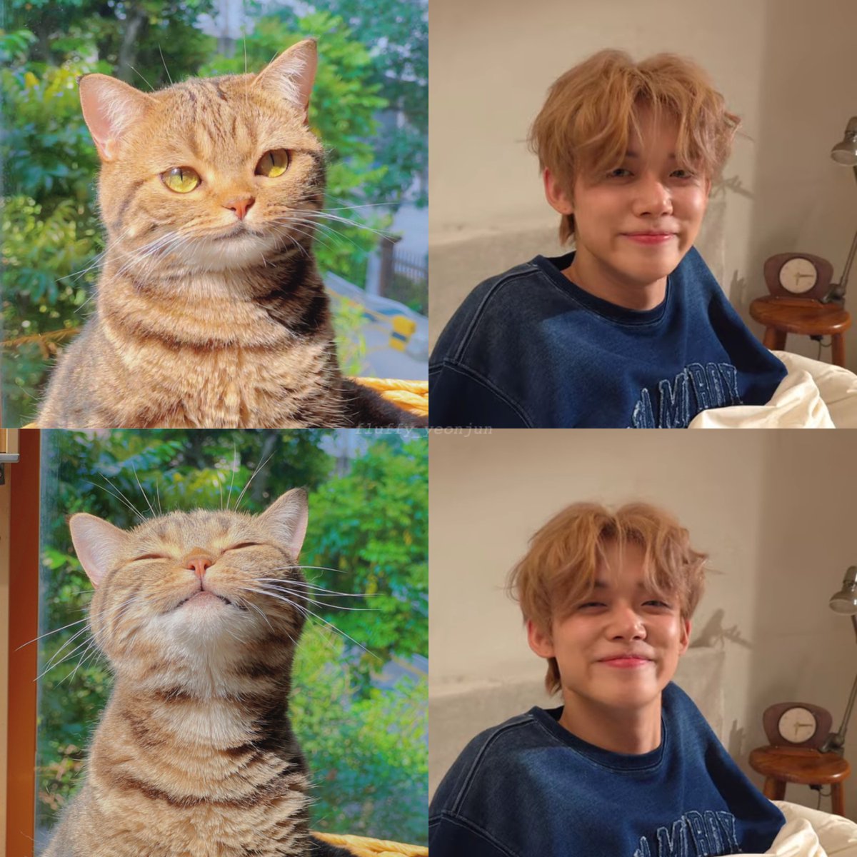 🍼uwu y쭌 우유🐾🏀 tweet media