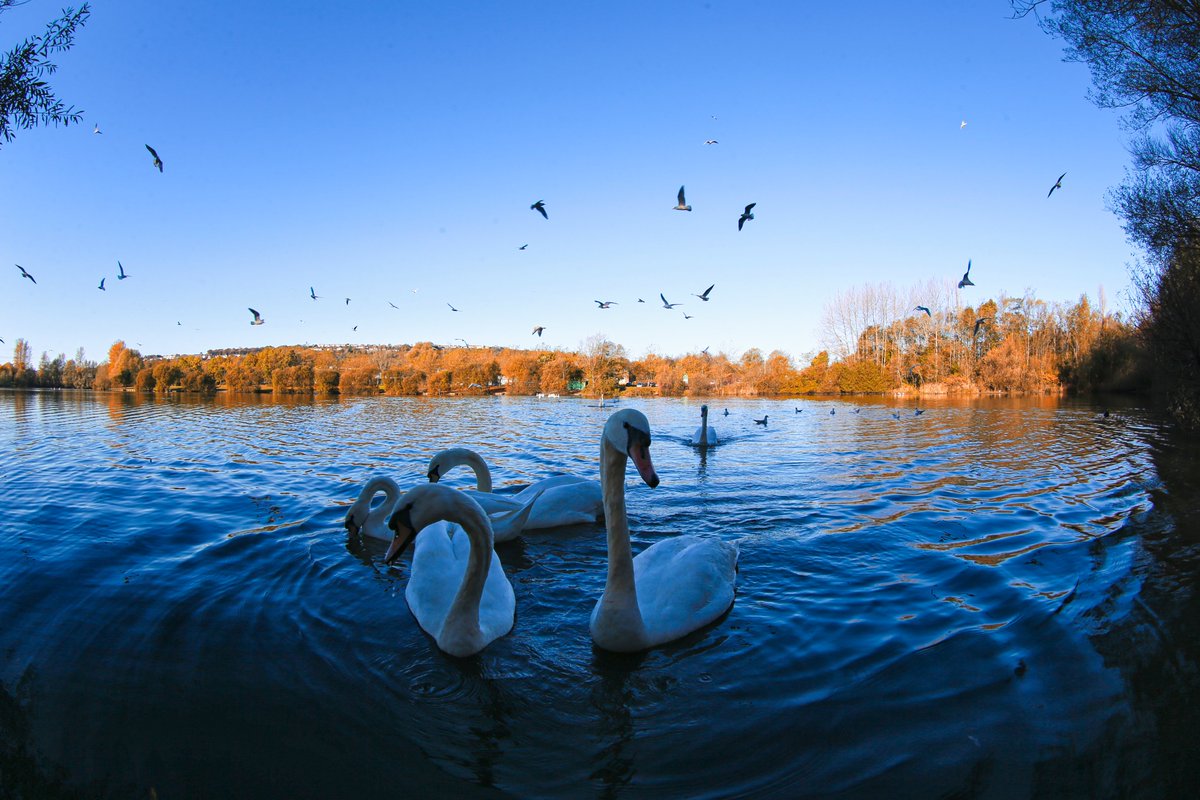 Lake Fenrod Swansea <a href="/Ruth_ITV/">Ruth_TV</a> <a href="/DerekTheWeather/">Derek Brockway - weatherman</a> <a href="/WalesOnline/">WalesOnline 🏴󠁧󠁢󠁷󠁬󠁳󠁿</a> <a href="/VisitSwanseaBay/">Visit Swansea Bay</a> <a href="/EnjoySwansea/">Enjoy Swansea Bay</a> <a href="/SwanseaCouncil/">Swansea Council</a> <a href="/WalesOnline/">WalesOnline 🏴󠁧󠁢󠁷󠁬󠁳󠁿</a> <a href="/kelseyredmore/">Kelsey Redmore</a> <a href="/katelewisITV/">Kate Lewis</a>