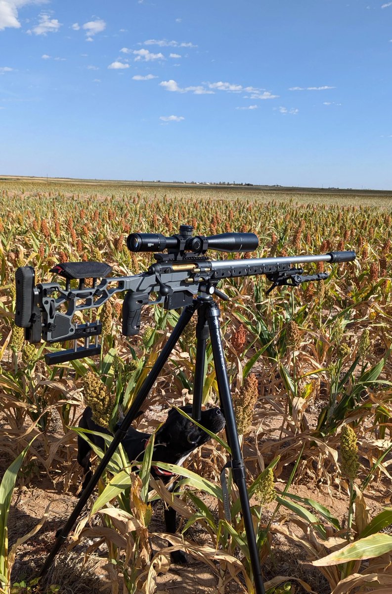 firearmsdaily_'s tweet photo. 🇺�� Savage 110 Elite Precision
▫️.300 Win Mag https://t.co/RsWWymPFuC