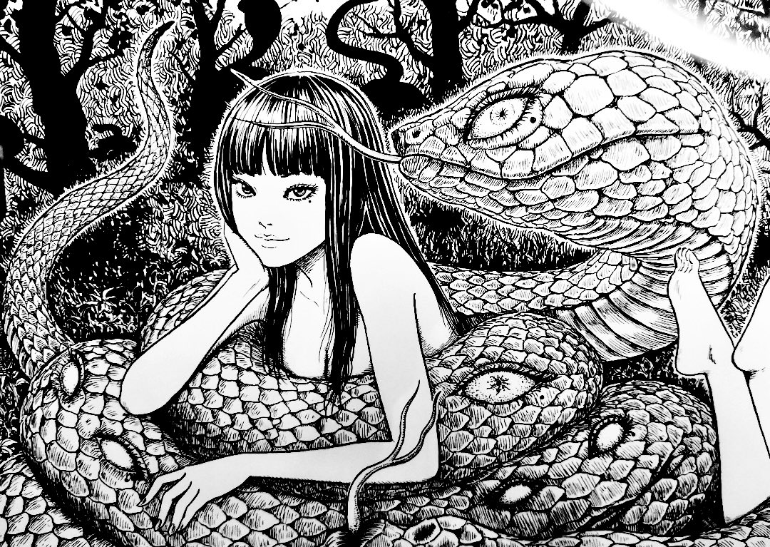 Tomie official art ♡