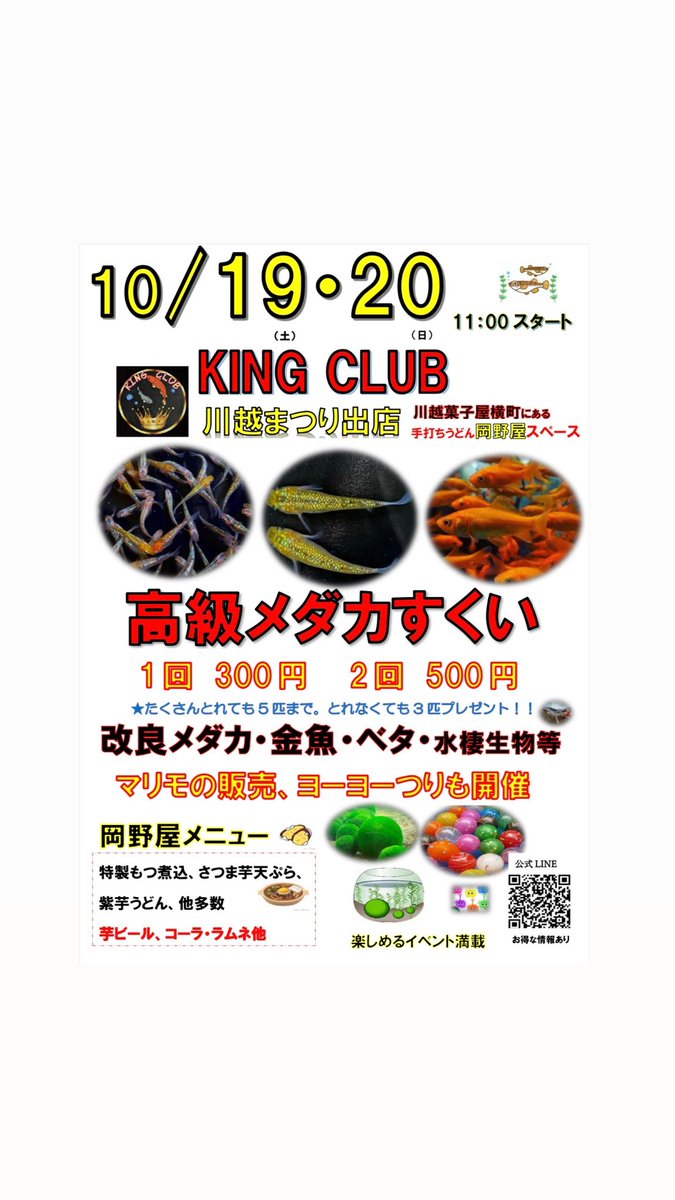 KingClub1030's tweet photo. いよいよ今週末
今年も川越祭り出店します‼️
【高級メダカすくい】
お祭りド定番の〈ヨーヨーつり🎣〉も開催します❕

その他にも金魚や水棲生物など、お祭りでは見かけない珍しい生き物を販売します🤲

面白いイベントも考えていますので
皆さまのご来店お待ちしております🤝☺️ https://t.co/BxSnEugMEK