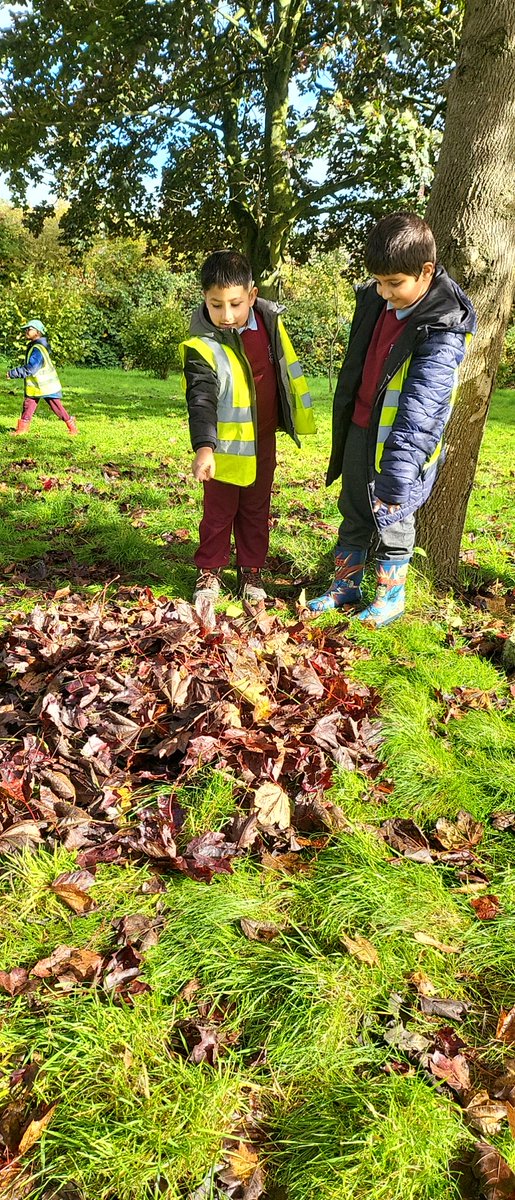 Mr_SKhan_'s tweet photo. "Look deep into nature, and then you will understand everything better". - Albert Einsten

2K are having a brilliant time at the allotments today! https://t.co/Up6uEBSORC