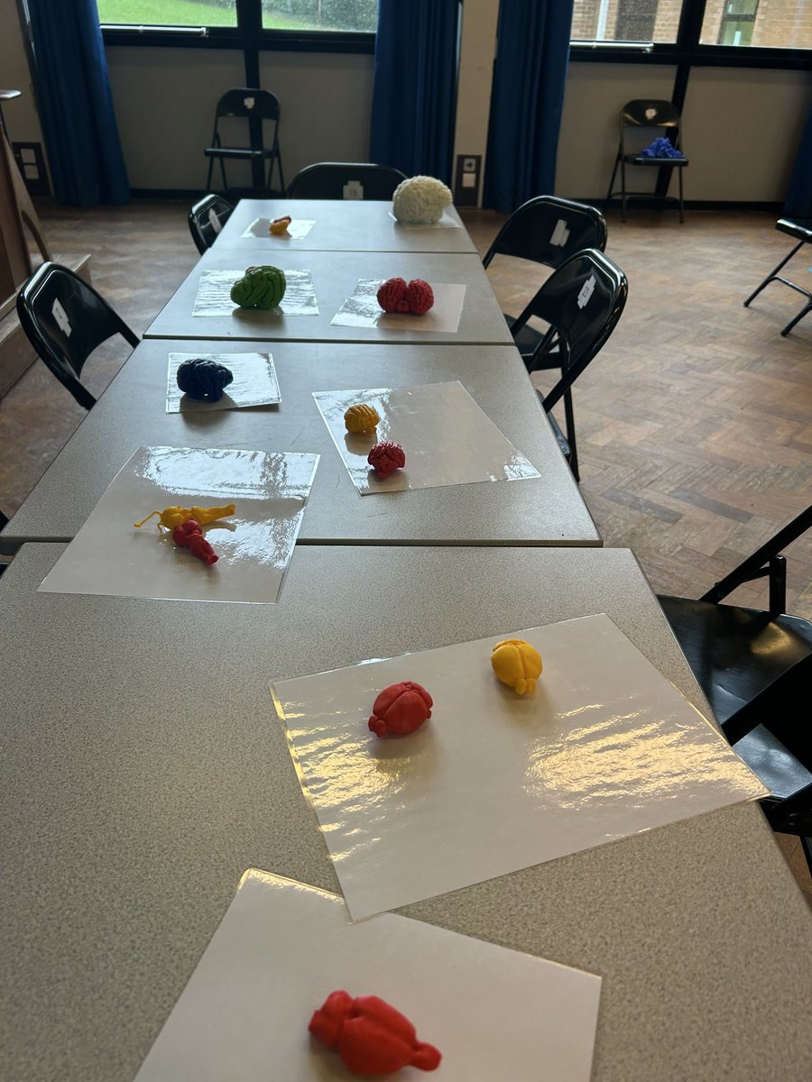 brgcardiff's tweet photo. We had a fantastic day at King Henry VIII School in Abergavenny, doing some hands-on neuroscience activities with the year 7s! They explored cell culture, practiced practical skills, tried the stoop test, and learned about brain structure. #FutureScientists #ScienceEducation https://t.co/qShZbsEJx4