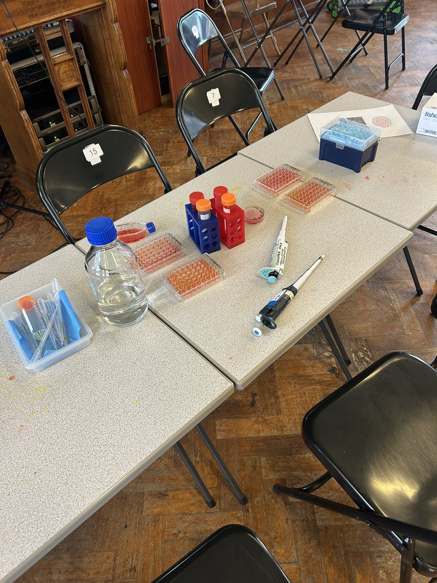 brgcardiff's tweet photo. We had a fantastic day at King Henry VIII School in Abergavenny, doing some hands-on neuroscience activities with the year 7s! They explored cell culture, practiced practical skills, tried the stoop test, and learned about brain structure. #FutureScientists #ScienceEducation https://t.co/qShZbsEJx4