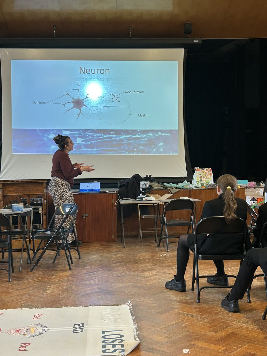 brgcardiff's tweet photo. We had a fantastic day at King Henry VIII School in Abergavenny, doing some hands-on neuroscience activities with the year 7s! They explored cell culture, practiced practical skills, tried the stoop test, and learned about brain structure. #FutureScientists #ScienceEducation https://t.co/qShZbsEJx4