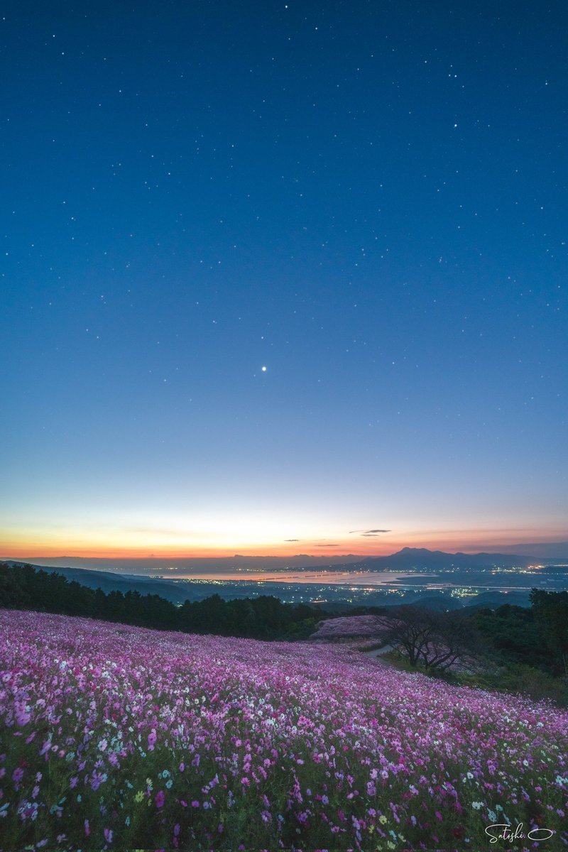 Masala873's tweet photo. 夜明けの白木峰高原

#白木峰高原 #tokyocameraclub https://t.co/54ARgK4W0G