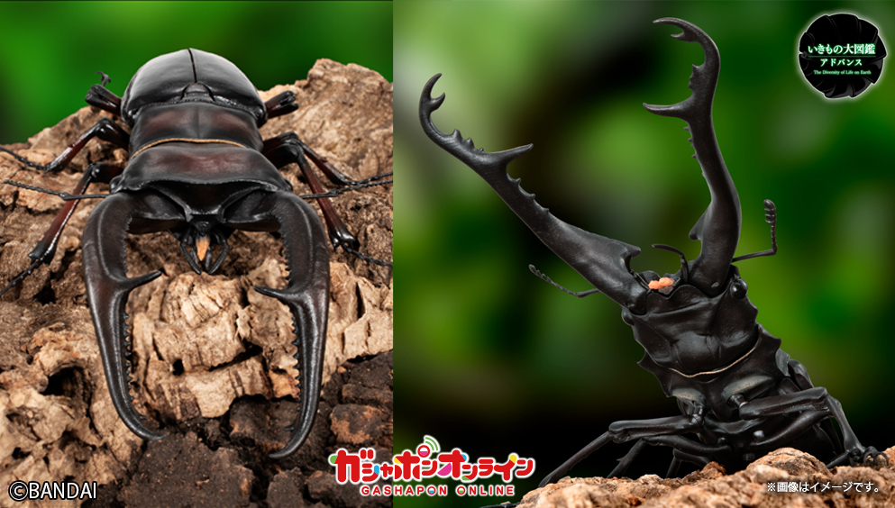 オンライン版　ギラファノコギリクワガタとマンディブラリスフタマタ　3種セット　① いきもの大図鑑アドバンス ギラファノコギリクワガタと