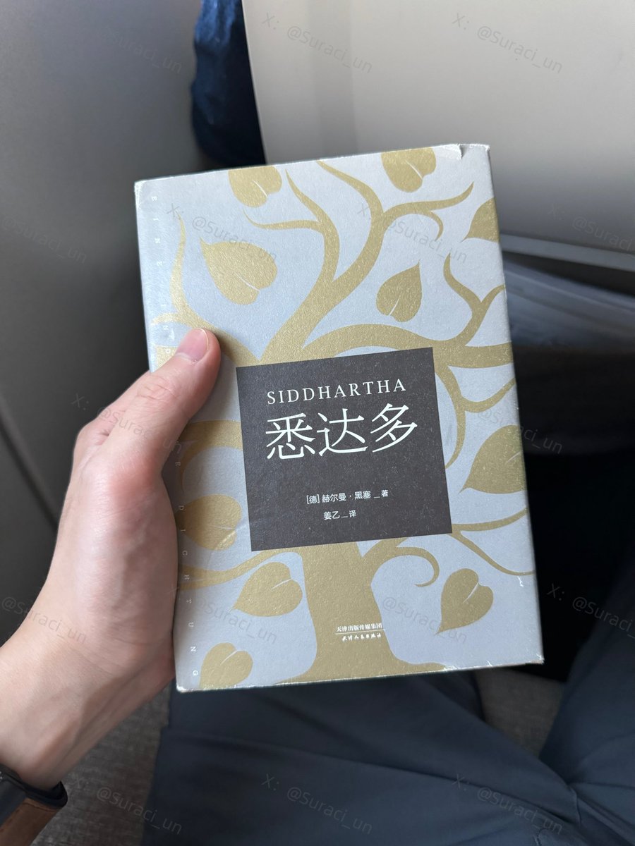 我仿佛抓住了一些名为「智慧」的线头，拽动之后却扯出更多迷惑⋯

#SuraciBook https://t.co/Cyg8tCaxOy