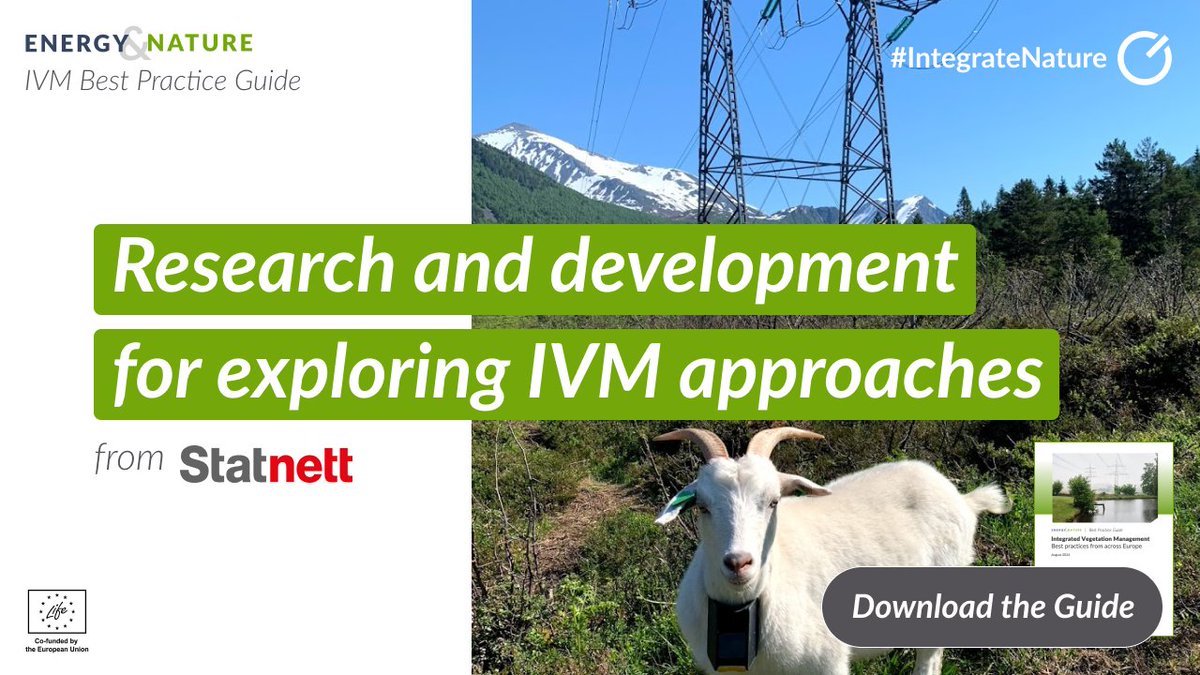 Where do Grid Operators start with IVM implementation? 🌳
TSO <a href="/Statnett/">Statnett</a> 🇳🇴 in early stages of developing thier IVM strategy, use digital GIS mapping 🌐 and insights from R&amp;D 🔎.

Learn more here about IVM implementation here 👉 bit.ly/47JLKDe