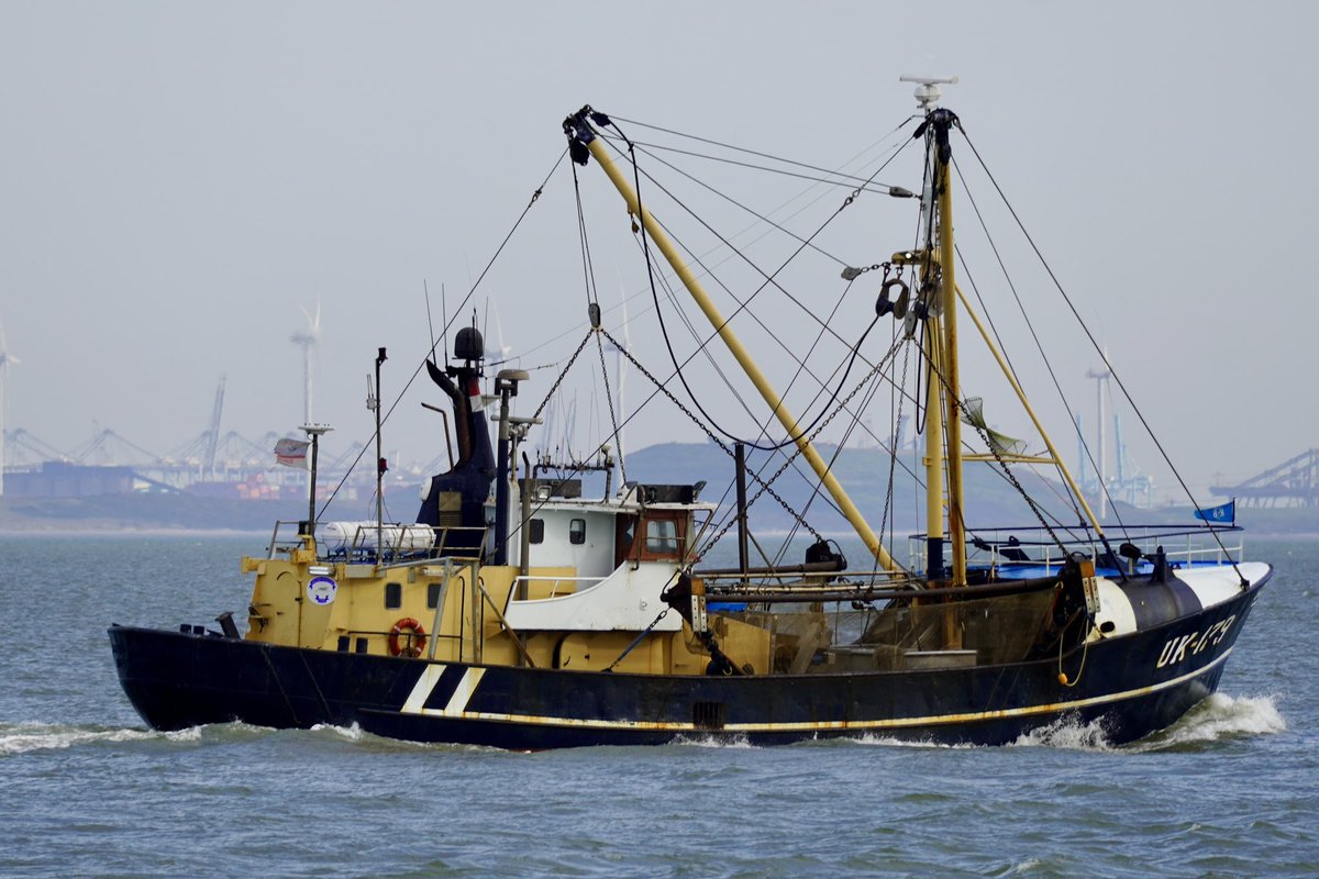 #Noordzee #kust #visserij #beleving 
De collega’s op de UK-179 hebben de verse #HollandseGarnalen naar de afslag gebracht