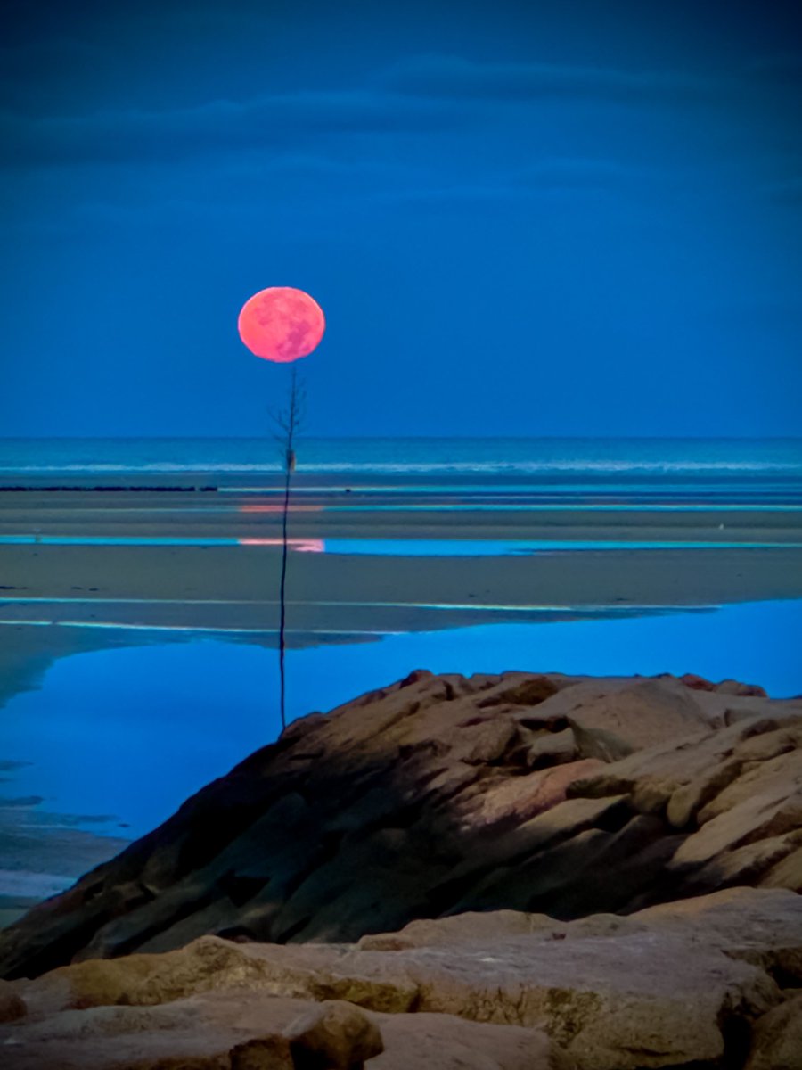 dariusaniunas's tweet photo. full moon https://t.co/mR5tZemtZX