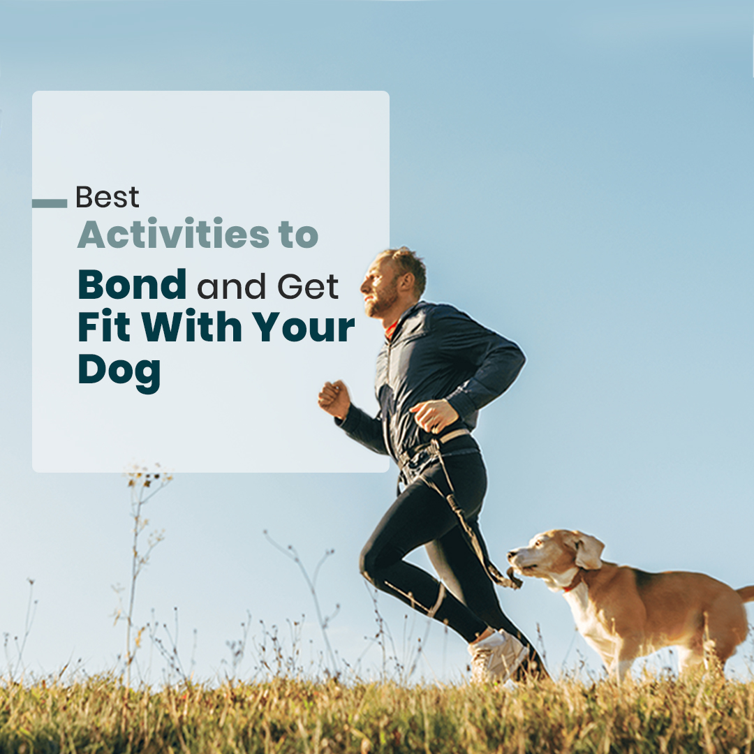 sgpetcare's tweet image. Best Activities to Bond and Get Fit with Your Dog:

Looking for fun ways to stay fit and strengthen your bond with your furry friend?

Read here - singaporepetcare.com.sg/blog/best-acti…

#DogFitness #BondingWithDogs #singaporepetcare