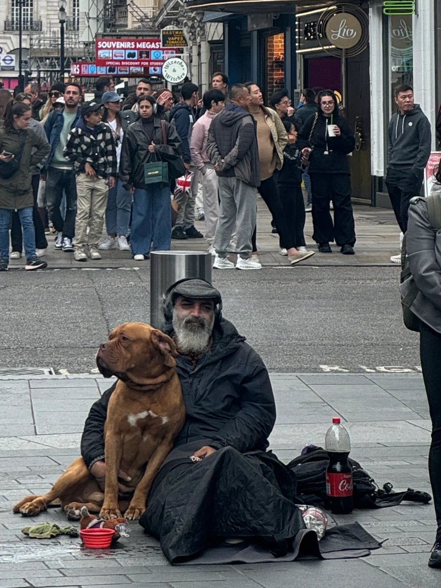 Weirdo669's tweet photo. I saw many homeless people with dogs on the streets of the UK. Some of the dogs looked very smooth and big, and they didn't look like stray dogs at all https://t.co/5rp6SJNEN7