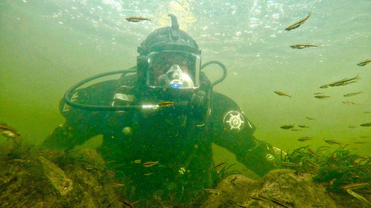 NorthernDiverUK's tweet photo. 🌊Dive Deep with the OTS Guardian FFM🌊
Built for commercial divers, the OTS Guardian offers a secure fit, no manual adjustments, and top performance in tough conditions.
👉Learn more: https://t.co/K3iJ9LGJLn
📸@garybankhead
#NorthernDiver #OTSGuardian #FullFaceMask #DiveGear # https://t.co/pcdBLBVeaN