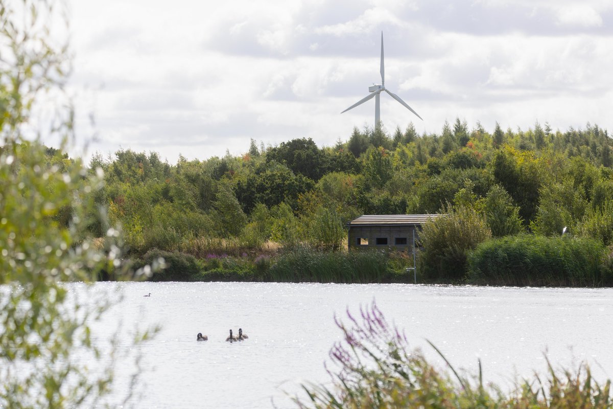 The National Forest tweet media