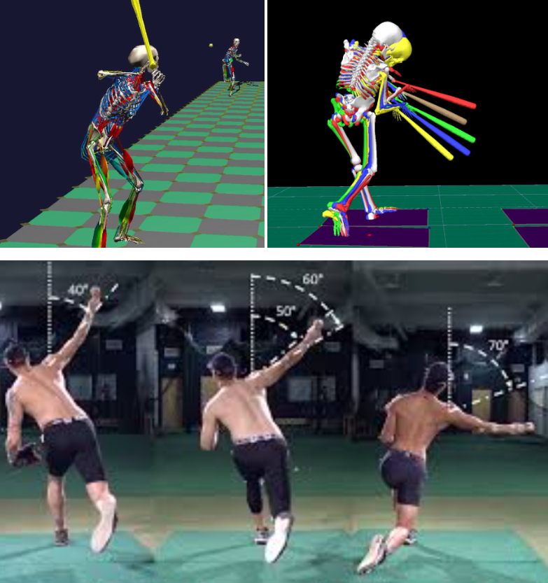 Coach_Steve's tweet image. Breaking the Biomechanics Myth: Embracing Unique Movement Styles in Athletes! Read👉tinyurl.com/4n3w9hyf - #BaseballActionID #MotorPreferences @jaegersports @SMerrBullpen @flatgroundApp @mobilitychick @littlemac0042 @TrueSandA @shegone03 @FlatgroundBats @moroiorom @_joeycunha