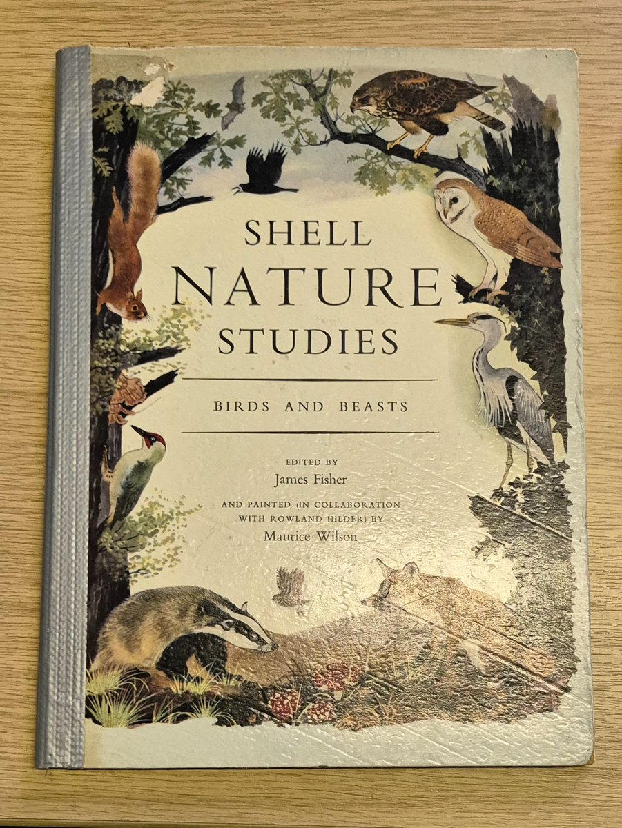 CursedObjectsUK's tweet image. 📢 New episode!! An absolutely riveting, rollercoaster ride through the history of the climate crisis with @alicebell, via a jar of toxic Euston Road air  open.spotify.com/episode/2eUaK4…