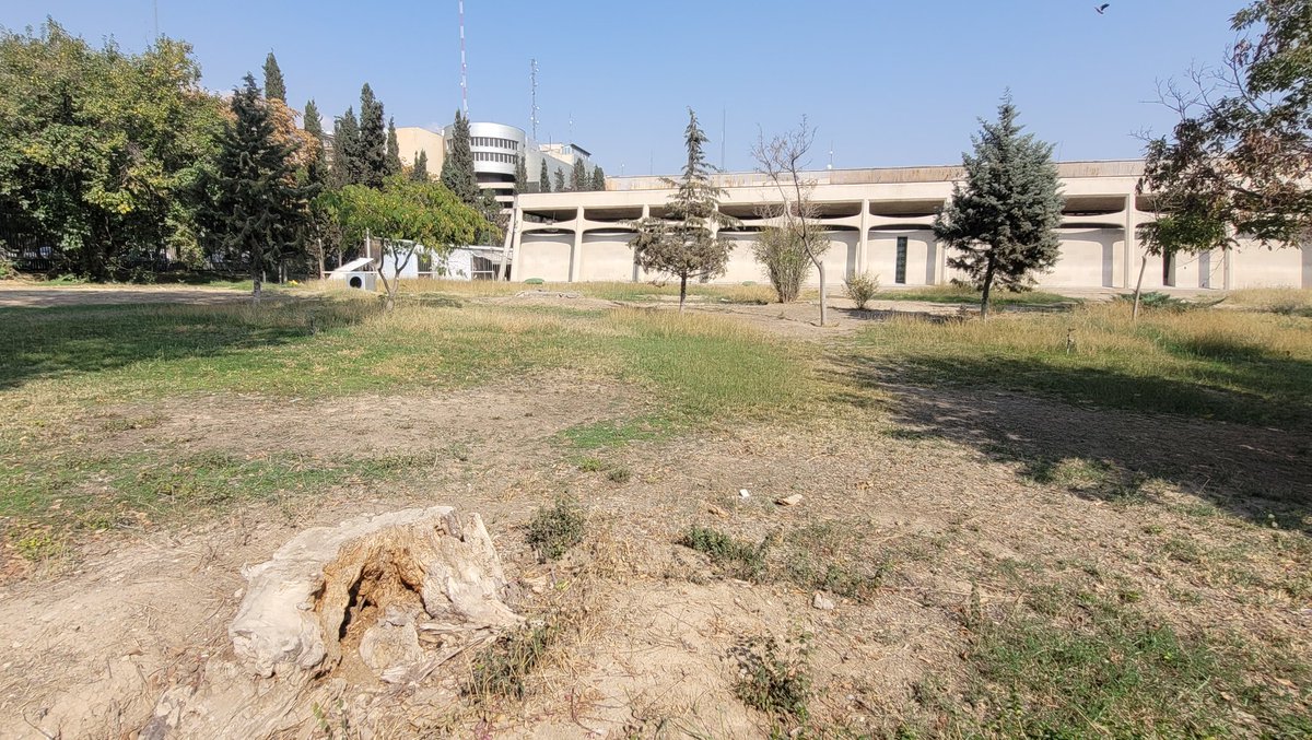 norouzi_more's tweet photo. اگر میخواهید کلنگی بودن و سقوط همه جانبه در ایران را ببینید کافیه به موزه فرش سر بزنید...ثروتی بیکران، زیبایی چشمگیر مدیریتی فشل، مخاطبی بی‌انگیزه و هرآنچه داغون است...در یک مرز کنار هم و سرخوش. https://t.co/GLQq2Yreua