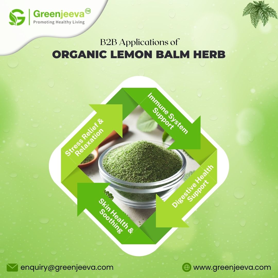 GreenJeeva's tweet image. 🍃 B2B Applications of Organic Lemon Balm Herb 

This versatile herb offers a range of benefits for product formulations in the health and wellness industry. 

📧 enquiry@greenjeeva.com
🌐 greenjeeva.com

#LemonBalmHerb #OrganicIngredients #B2BApplications #Greenjeeva