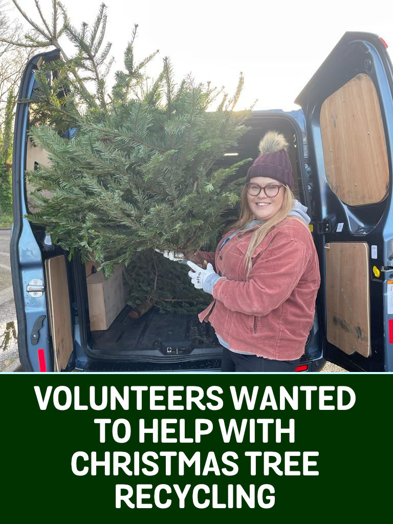 Dorset View (@dorset_view) on Twitter photo š <a href="/diverseability/">Diverse Abilities</a> is recruiting volunteers to help with its Christmas tree recycling service.
Families and businesses with access to vans, pickup trucks, or buses should contact Francesca on 01202 718266 to discuss how to get involved. š <a href="/diverseability/">Diverse Abilities</a> is recruiting volunteers to help with its Christmas tree recycling service.
Families and businesses with access to vans, pickup trucks, or buses should contact Francesca on 01202 718266 to discuss how to get involved.