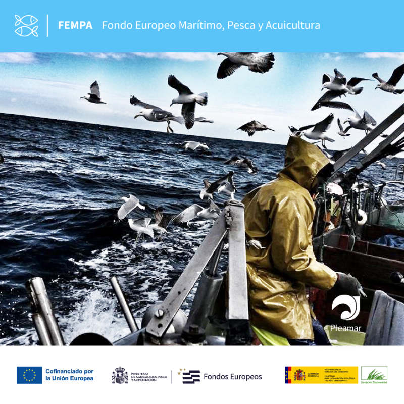 FBiodiversidad's tweet photo. 👉 #Noraves de @ceidagalicia, @SEO_BirdLife, @IEOoceanografia y @CorysSCCL trabajará para reducir la mortalidad accidental de aves marinas en ZEPAS del Noratlántico.

#FEMPA @FondosUE_Esp #FondosEuropeos #Pleamar