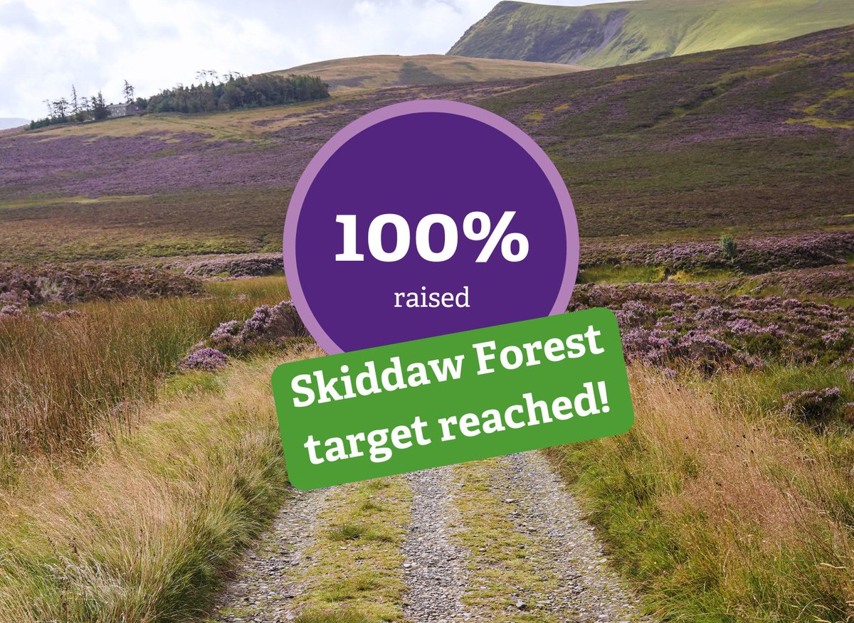 cumbriawildlife's tweet photo. Did you hear the news? π₯³ You, our amazing supporters, have helped to raise Β£1.25m to secure Skiddaw Forest for nature.
Thanks to you & our long-term partnership with @avivaplc, we can now begin restoring 620 acres of lost #rainforest & protecting 992 acres of #peatbogs.
(1/2) https://t.co/fX7AsyqadC