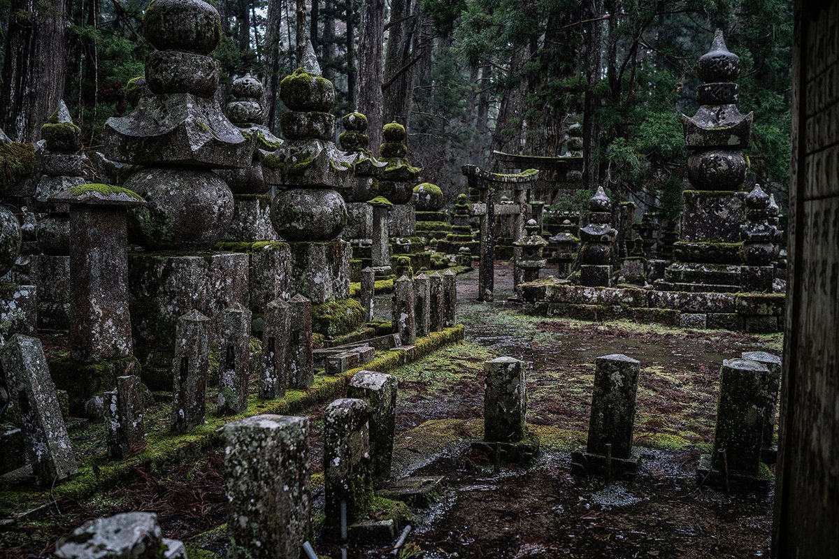 jameswdelano's tweet photo. Excited to be back in Kyoto to begin Inside Japan for National Geographic Expeditions.
It is a chance to embed with communities and explore Japan's unique culture.
Photo: Okuno-in, Mt. Koya, Japan
#nationalgeographicexpeditions #japan #mtkoya #insidejapan https://t.co/a7E8sPCVus
