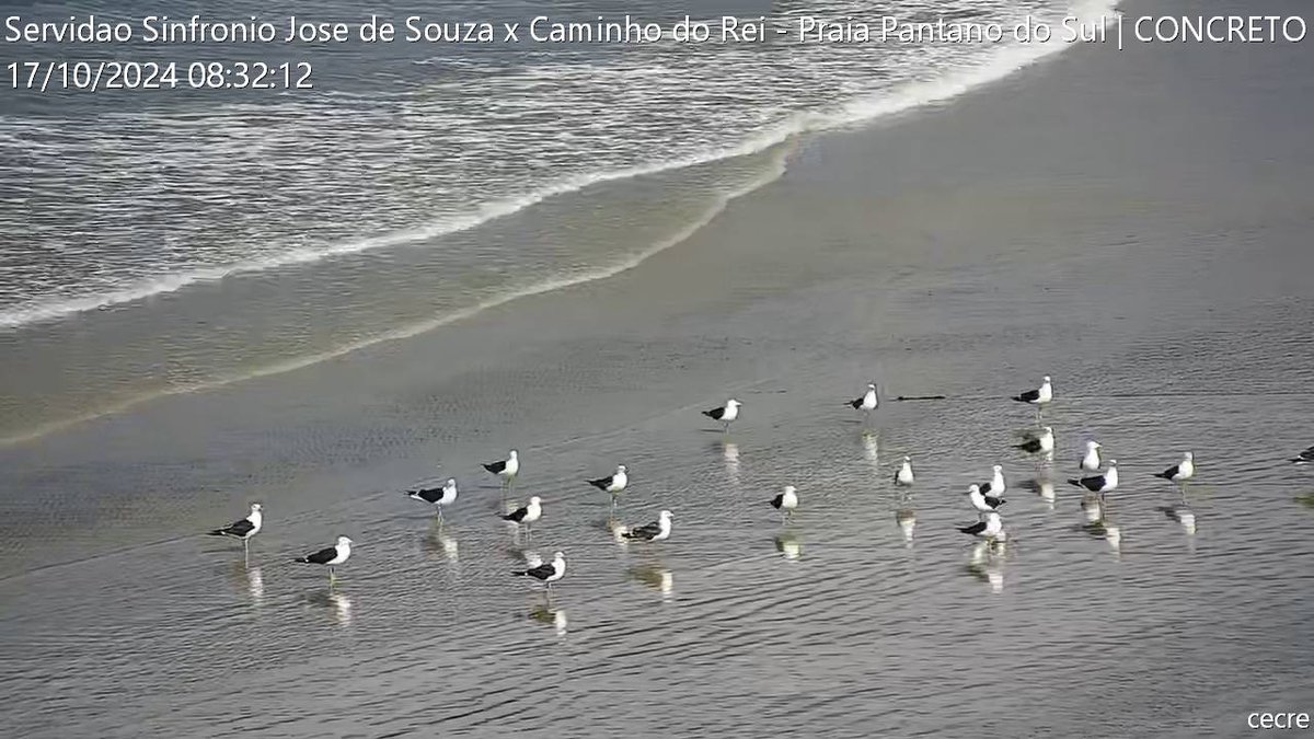 MonitoramentoSC's tweet photo. #Florianopolis #PantanodoSul https://t.co/u4IYNCnTXN