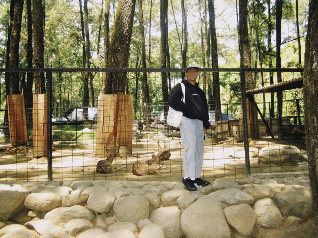 d i k a 🦖 tweet media