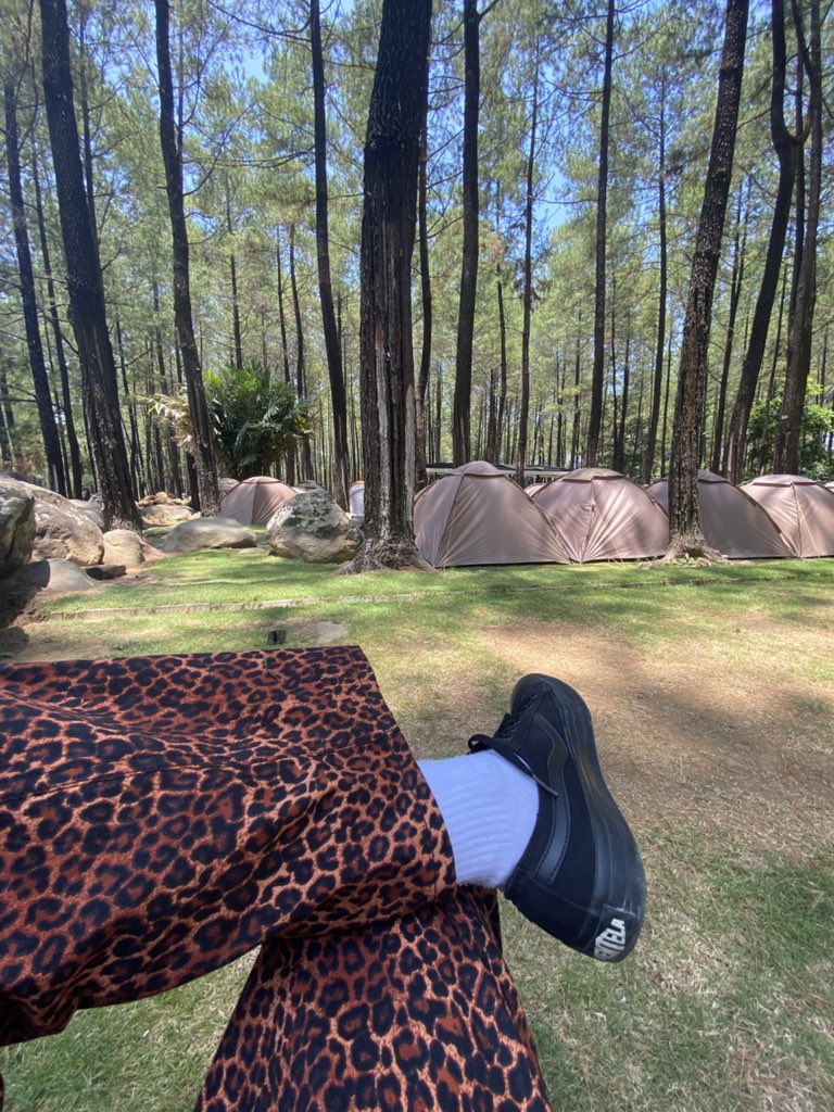 d i k a 🦖 tweet media