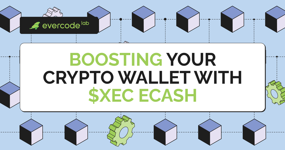 Evercode Lab tweet media