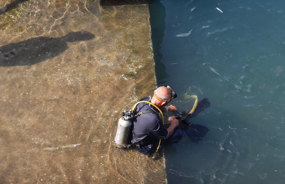 01021987kha's tweet image. mission done 
#photography #ccdsensor