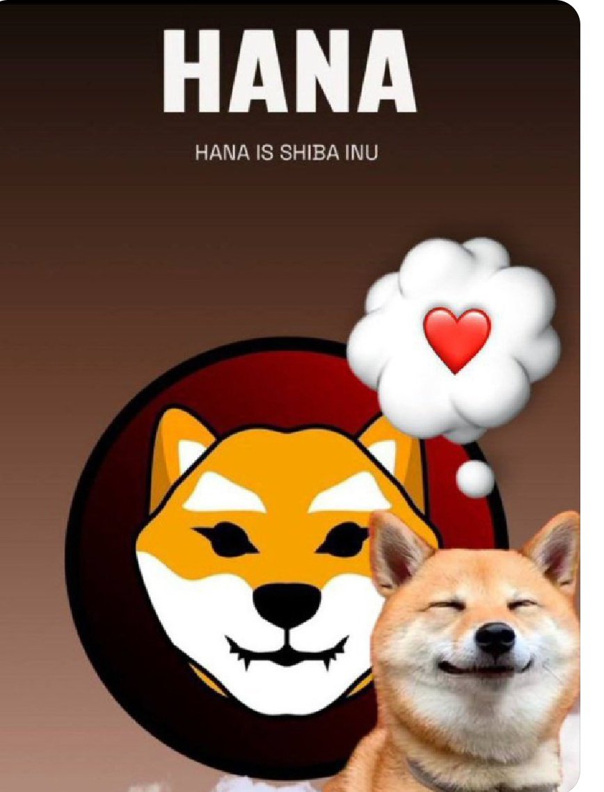 MNonkoudje's tweet photo. @ederlezi789 @justinsuntron @HanaToken Really the doge behind $shib, the cutest one deserves to be sent to Mars🔥🔥🔥

#HanaArmy https://t.co/GJCakNADFo