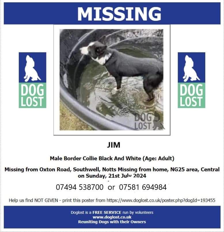 MissingPetsGB's tweet photo. JIM is still missing. Please keep eyes &amp; ears open. Please dont approach, call or chase just report asap to one of the numbers. 🤞🙏
Last seen Southwell #NG25 21 July 2024 https://t.co/weo490ct9S