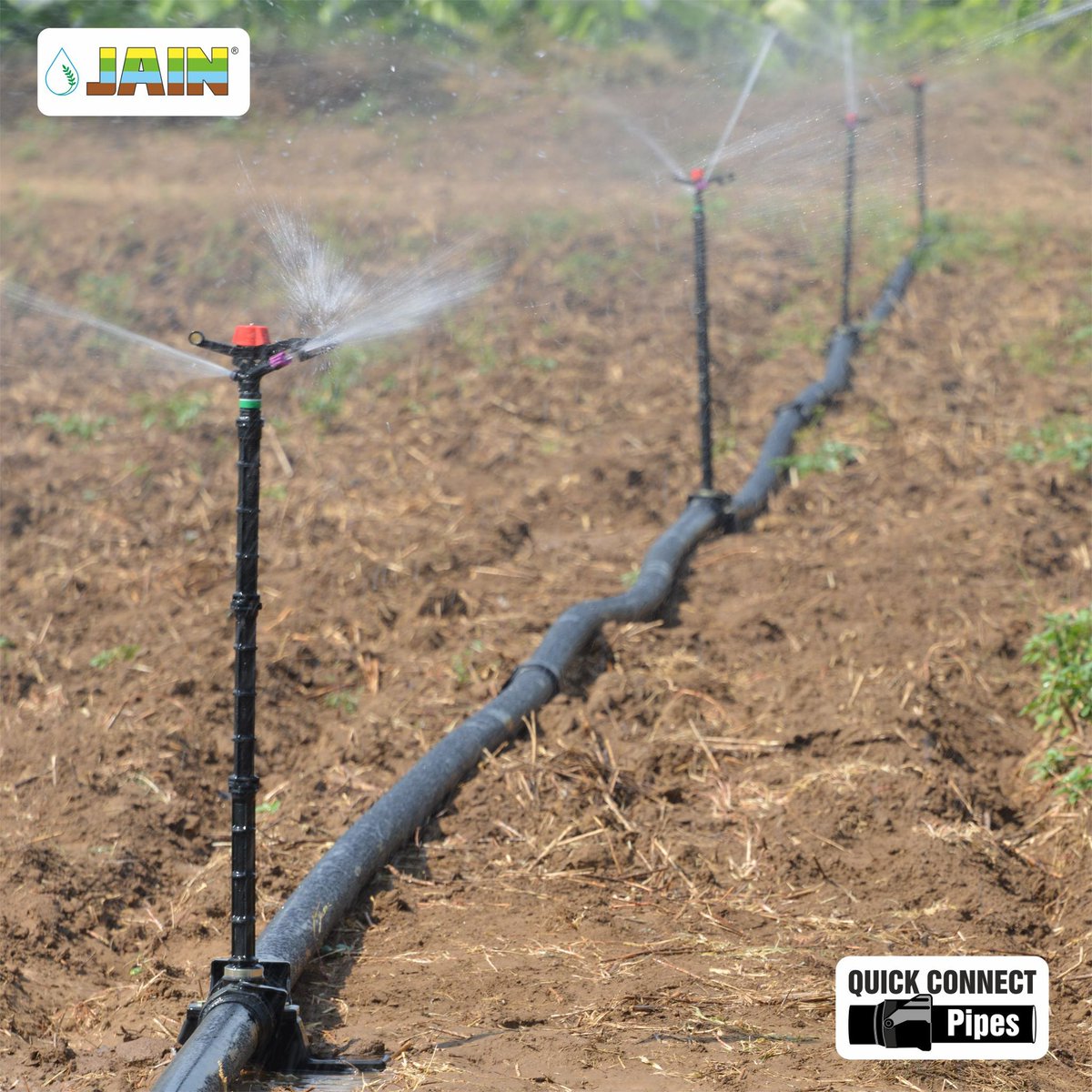 JainIrrigation's tweet photo. Designed for efficiency and ease of use, The Jain Quick Connect Pipes ensure optimal water flow and minimal leakage!
Experience seamless connectivity for your agricultural needs with #JainIrrigation 💯
#AgTech #AgriTech #JainSprinklers #JainPipes #QuickConnect #JISL https://t.co/8QOhC1Rkf5