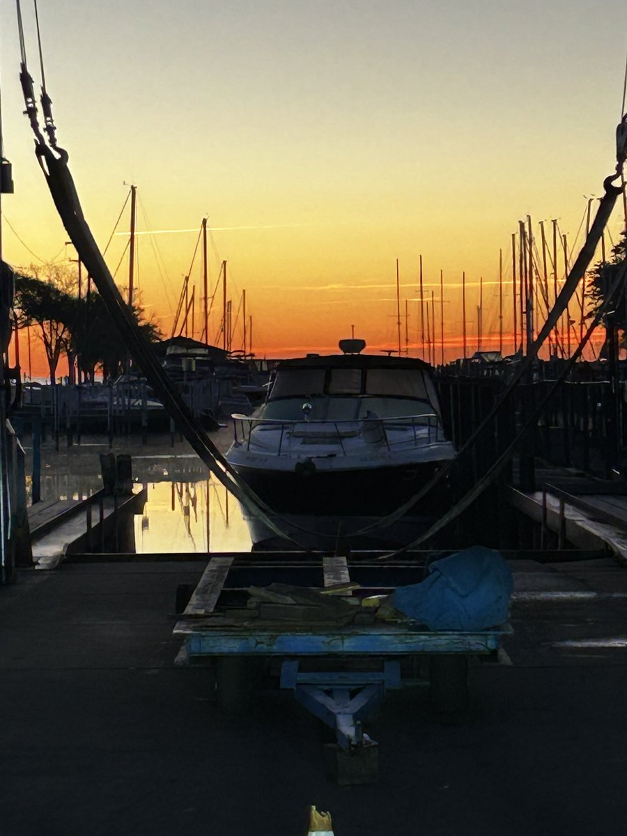 Steve Cook tweet media