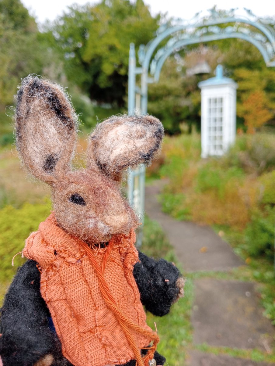 Roshi Rabbit tweet media