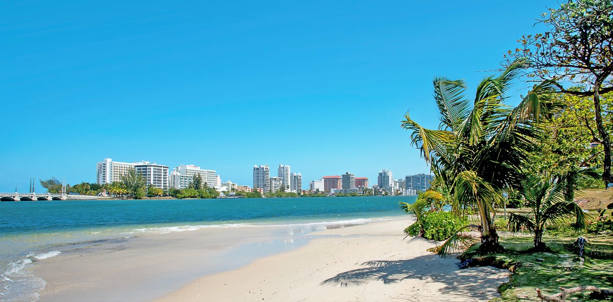 MSC Cruises News tweet media