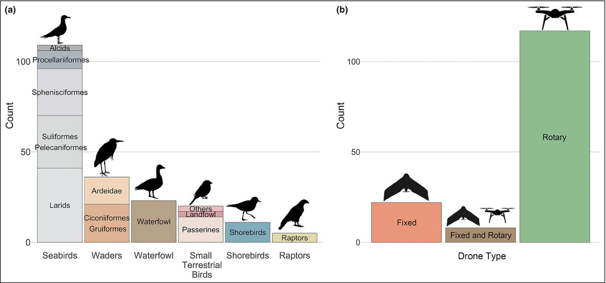 Seabirders's tweet photo. Researchers reviewed 149 studies on birds and drone use to see if drone speed, bird breeding status, bird size, and the distance between the drone and the bird impacted bird behavior. https://t.co/GselVkXpHK https://t.co/QyTvOLvc7E