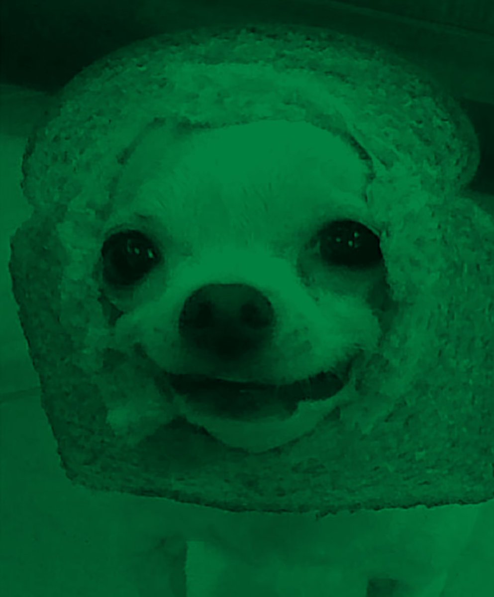 telbruh's tweet photo. prepare to be sick of me https://t.co/tUzV9ManGb