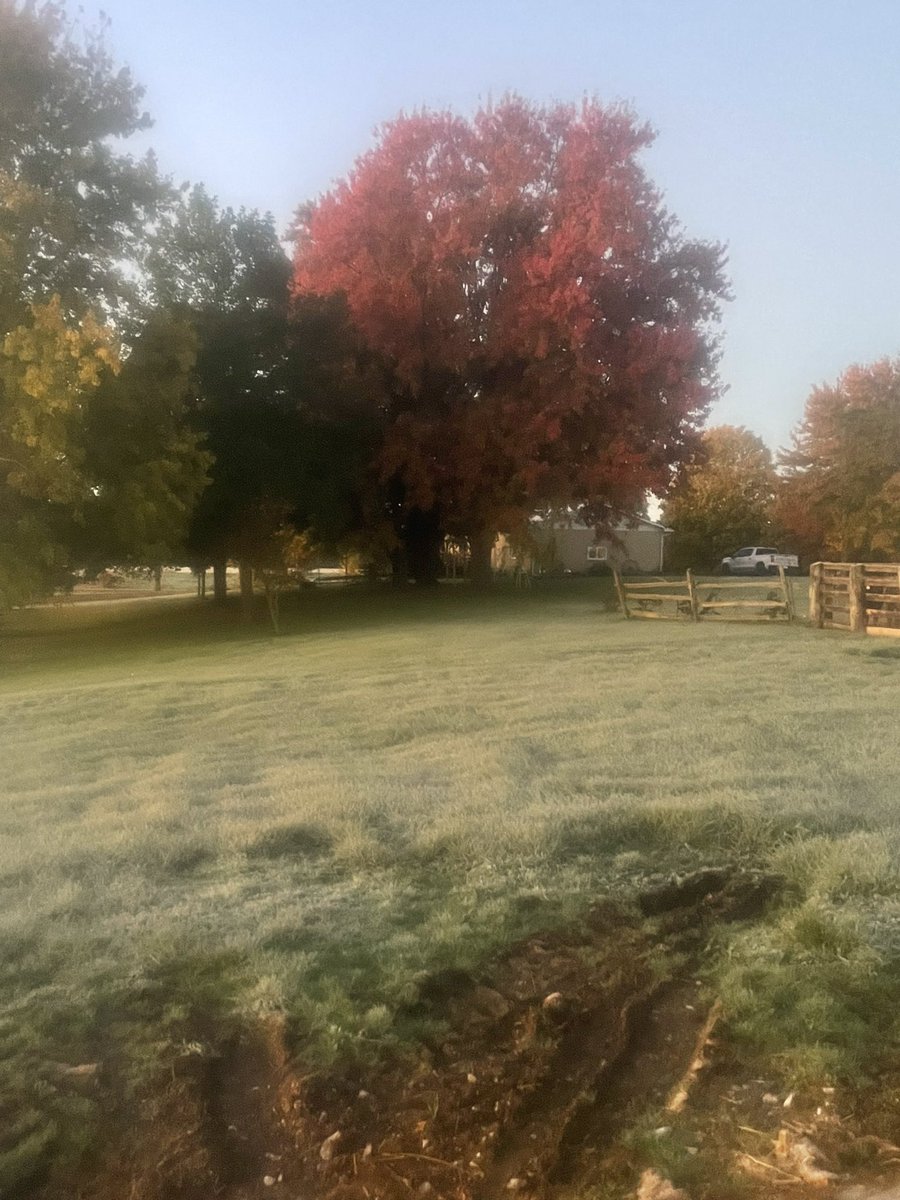 It’s that time of year to find where you left your coat and mitts 
Good frosty morning complimenting last nights full moon