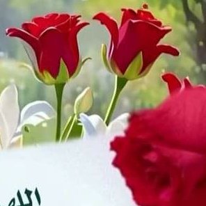 #صورة_ملف_شخصي_جديدة