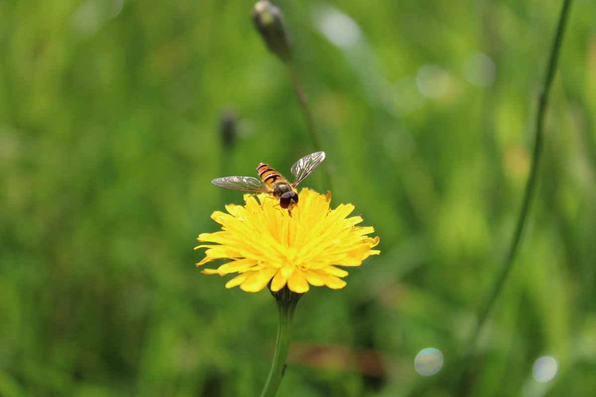 POLE BIO Pays de la Loire tweet media