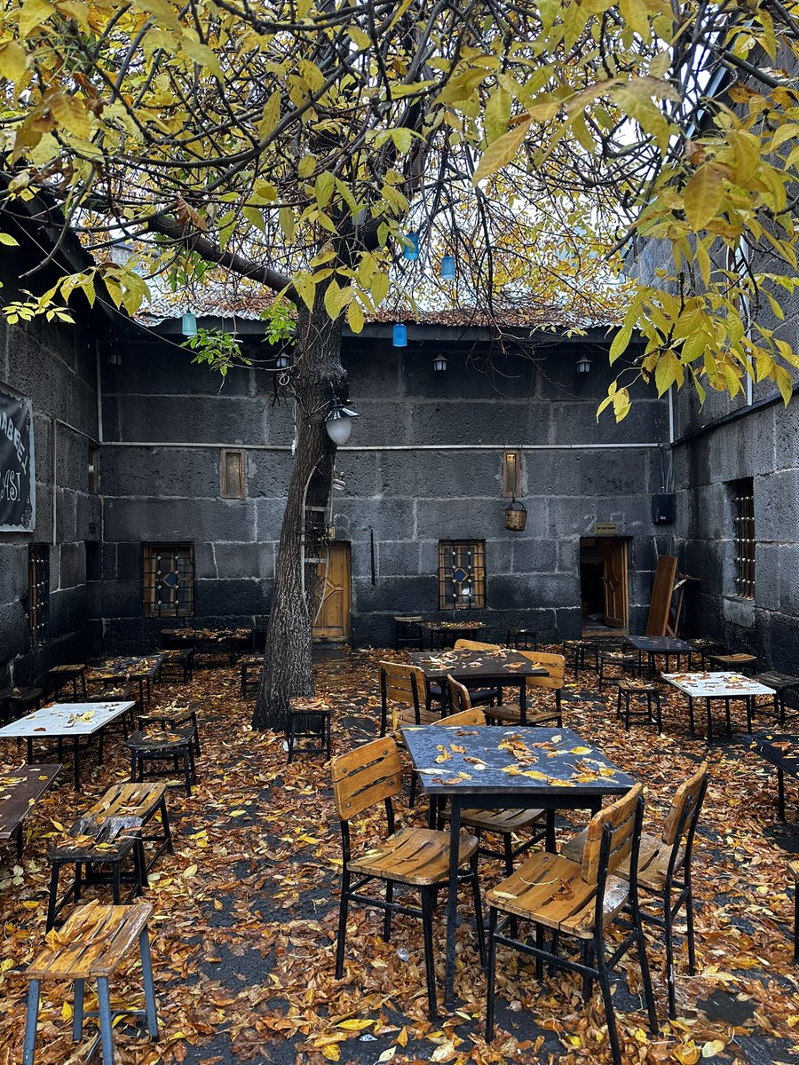 edocan025's tweet photo. 🍂 #Sonbahar #Erzurum https://t.co/Ry9GMCBgWC