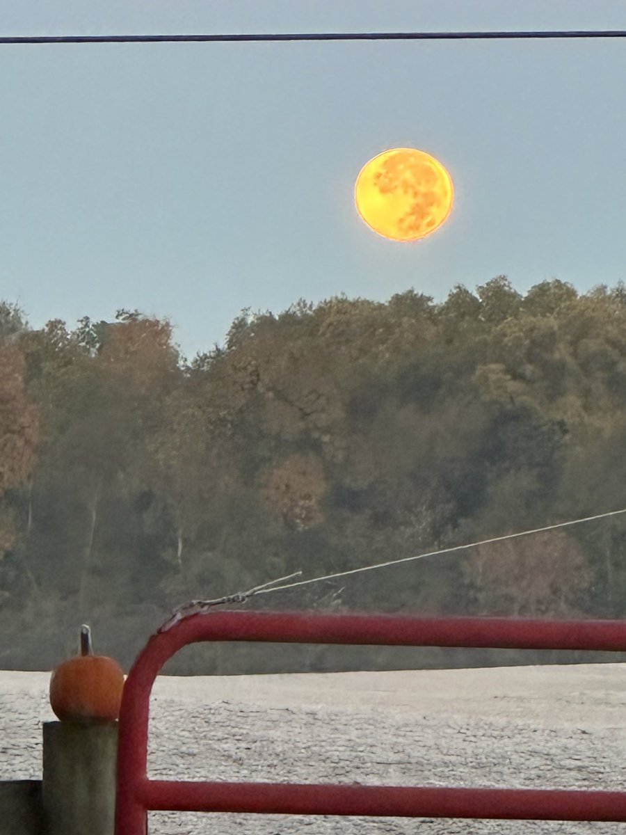 Good morning form our Ohio Farm. Frost on the pumpkin 🎃 #GoodMorning #moon #FullMoon #pumpkin #ohiofarm #Ohio
