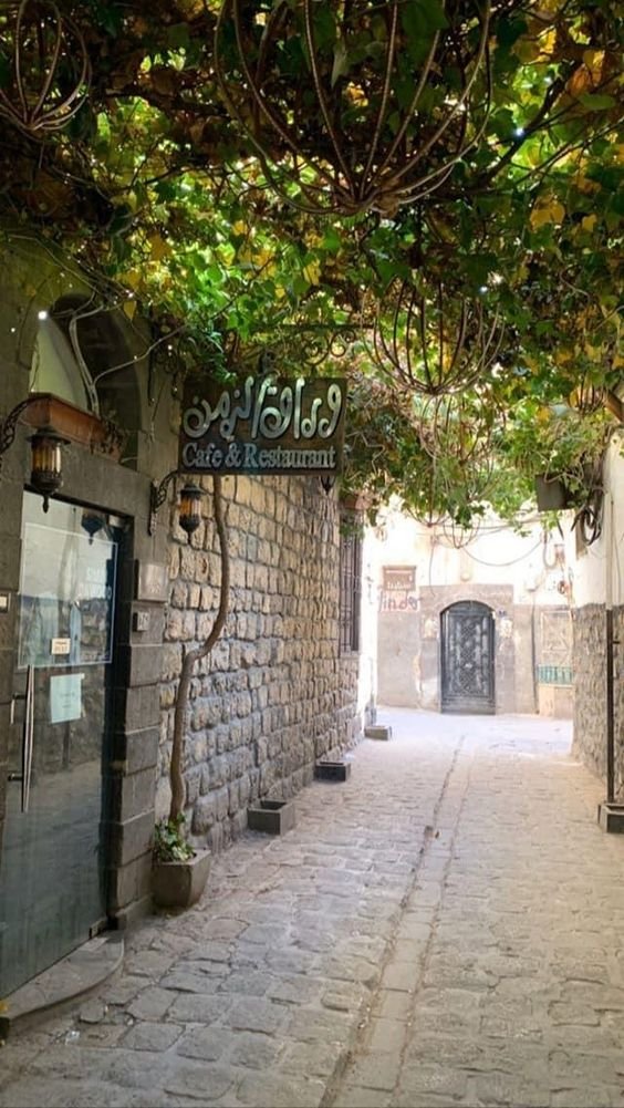 Hala_Monzer's tweet photo. الدنيا متل البحر، يوم بتكون هادية ويوم بتقلب عاصفة، المهم تعرف كيف تسبح مع التيار👌✨
باب توما_دمشق❤ https://t.co/9p7v0nHU6Q